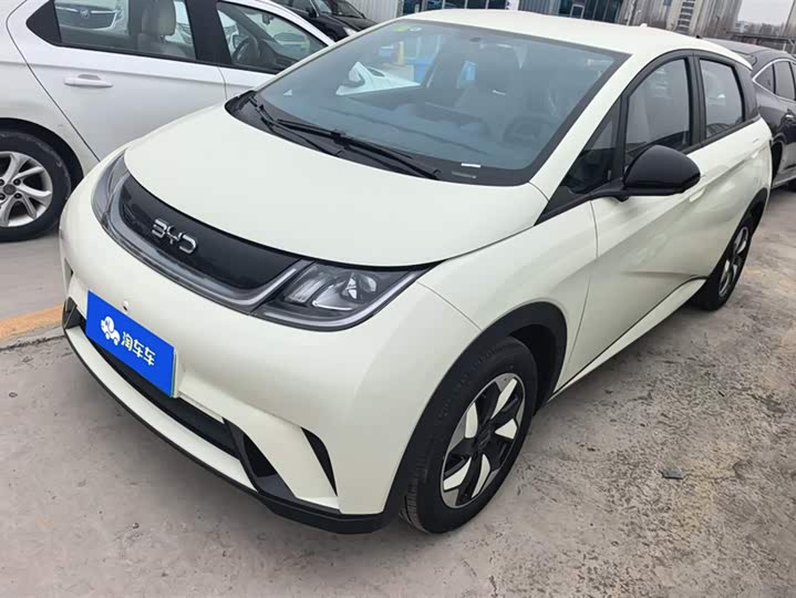 Фото 1 - BYD Dolphin