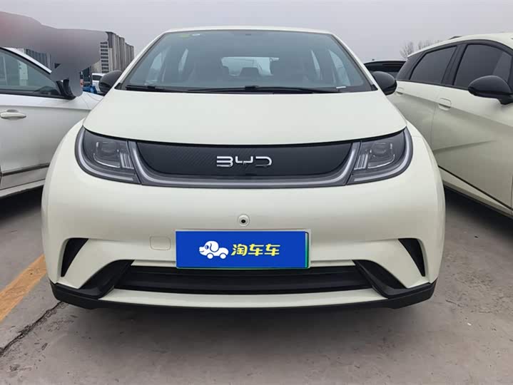 Фото 2 - BYD Dolphin