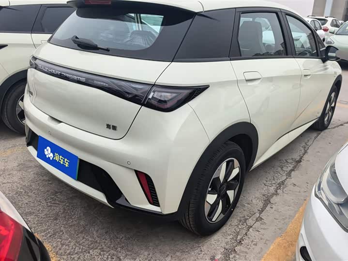 Фото 3 - BYD Dolphin