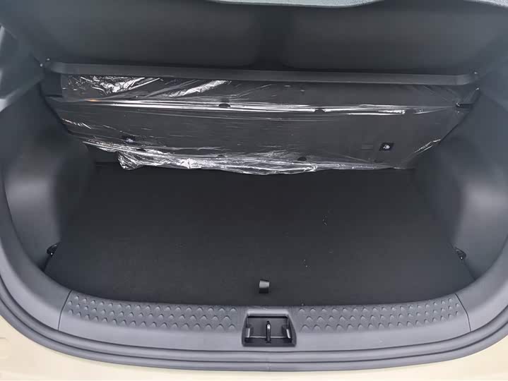 Фото 4 - BYD Dolphin