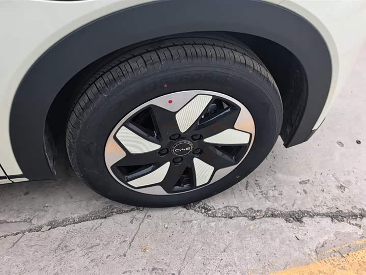 Фото 6 - BYD Dolphin