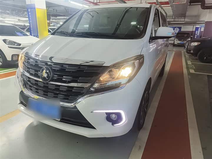 Фото 2 - Dongfeng Forthing M7