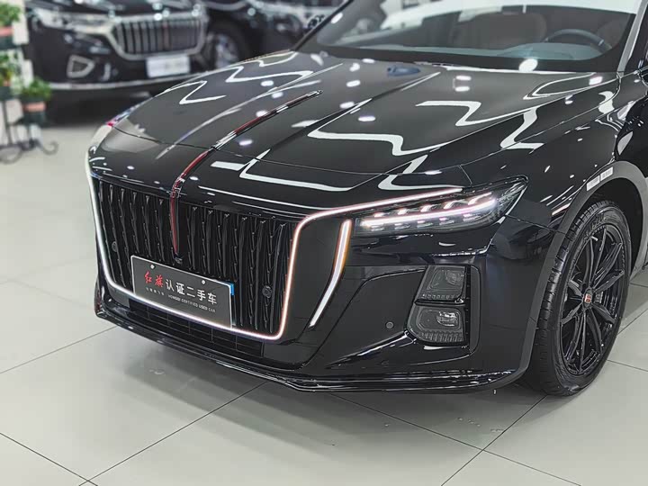 Фото 8 - Hongqi H5