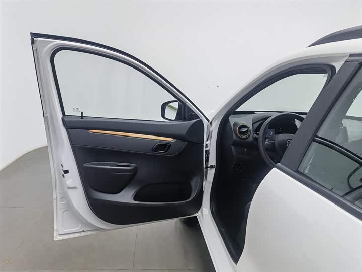 Фото 8 - Dongfeng Nammi Nano EX1 Pro