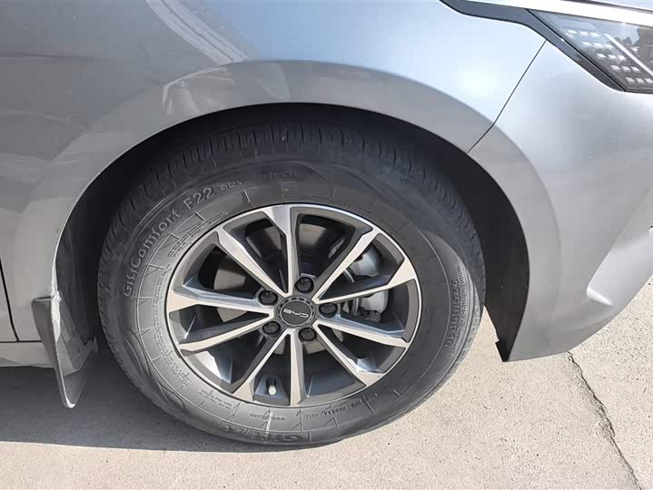 Фото 5 - BYD Destroyer 05