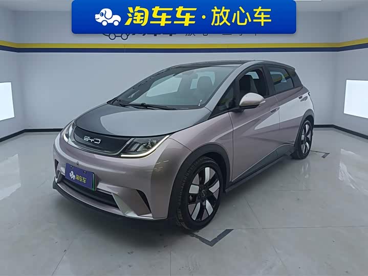 Фото 1 - BYD Dolphin