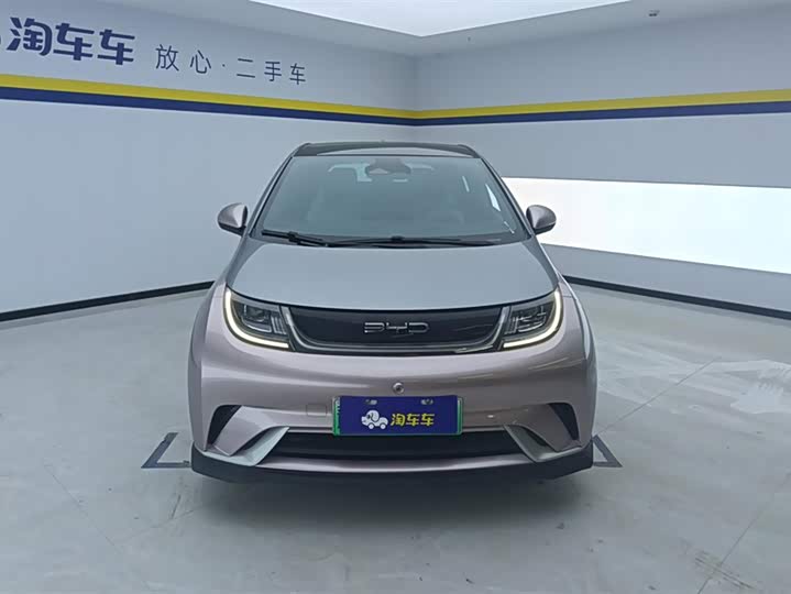 Фото 2 - BYD Dolphin