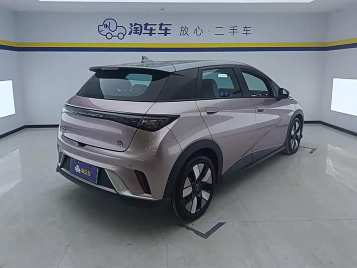 Фото 3 - BYD Dolphin