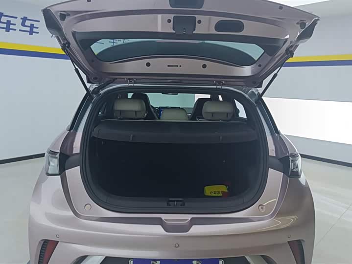 Фото 4 - BYD Dolphin