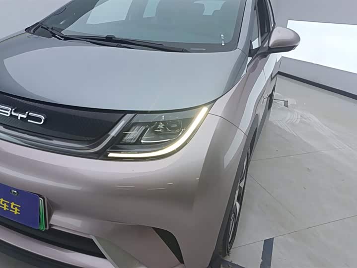 Фото 5 - BYD Dolphin