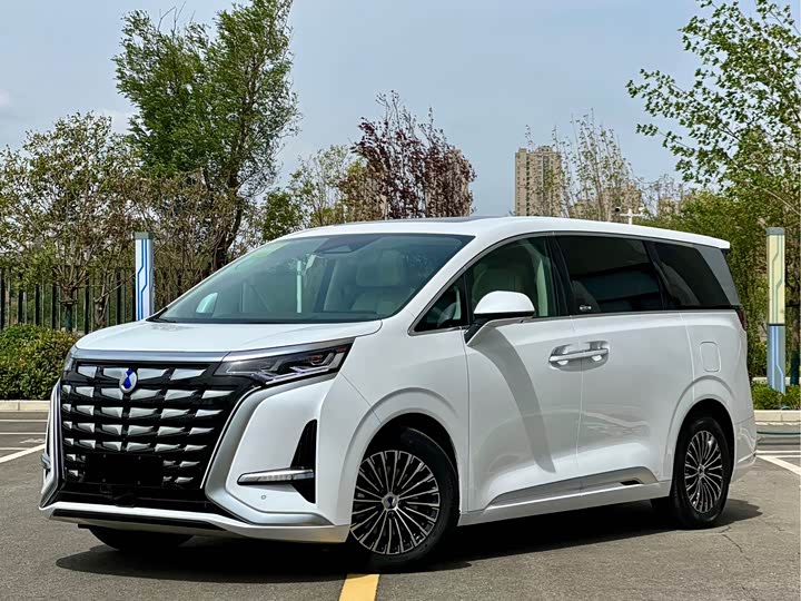 Фото 1 - Denza D9