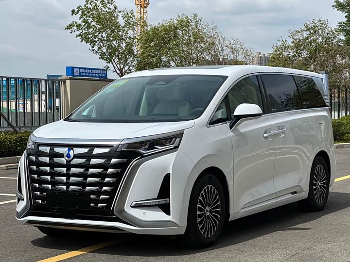 Фото 2 - Denza D9