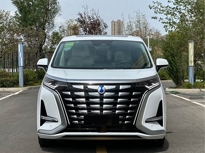 Фото 3 - Denza D9