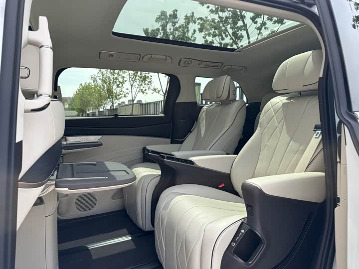 Фото 6 - Denza D9