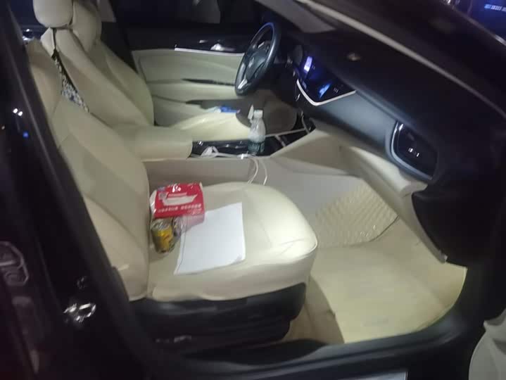 Фото 8 - Buick Regal