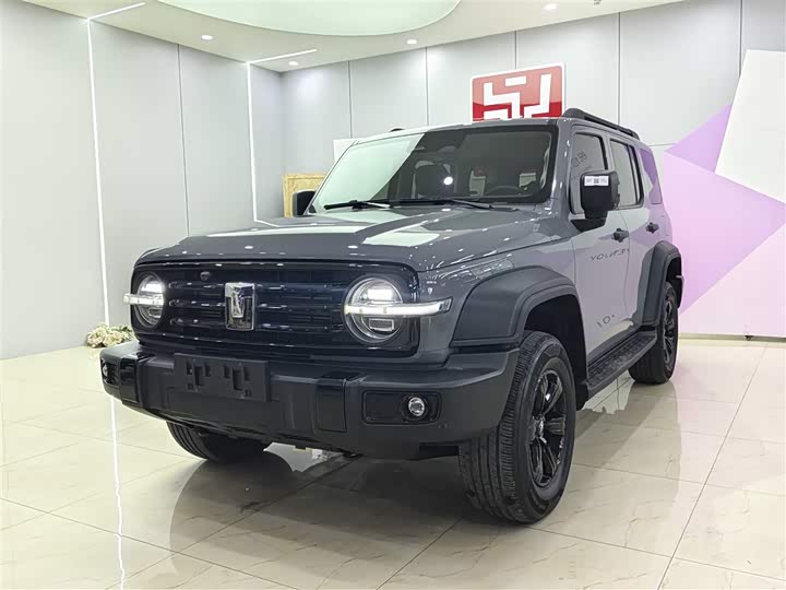 Фото 1 - Tank 300