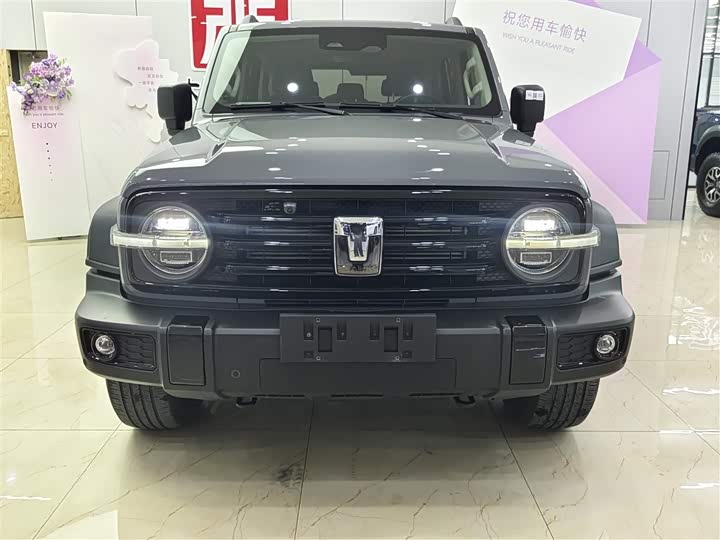 Фото 2 - Tank 300