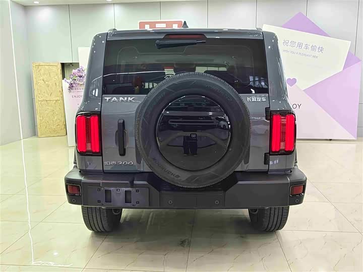 Фото 5 - Tank 300