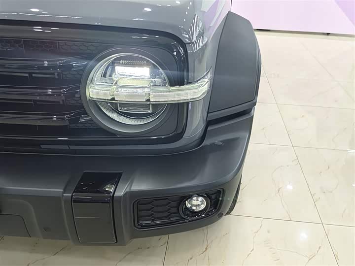 Фото 7 - Tank 300