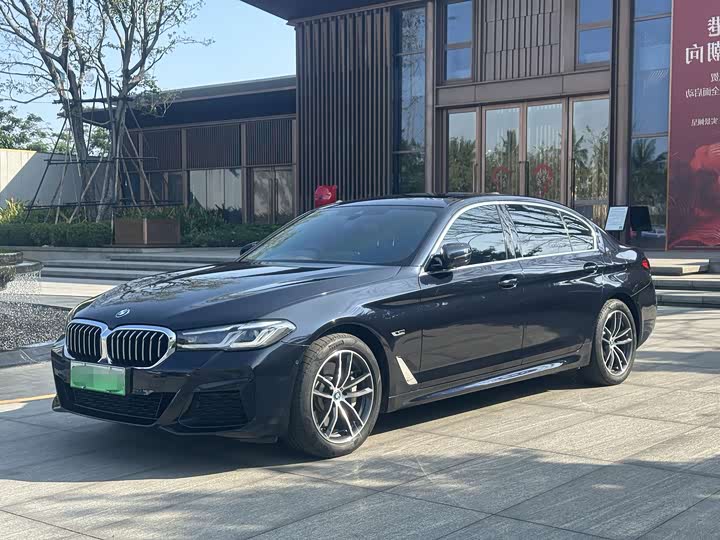 Фото 2 - BMW 5 Series Hybrid