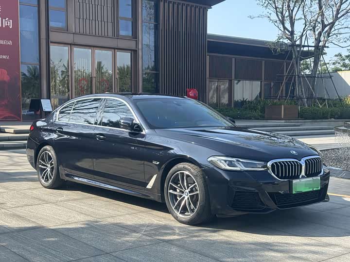 Фото 4 - BMW 5 Series Hybrid