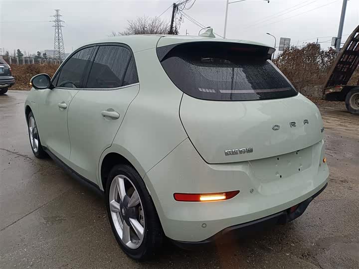 Фото 4 - Ora Good Cat (03)