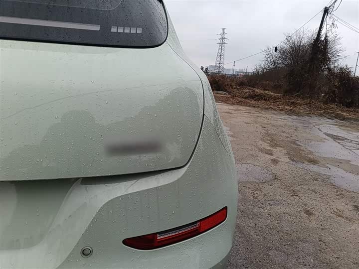 Фото 7 - Ora Good Cat (03)