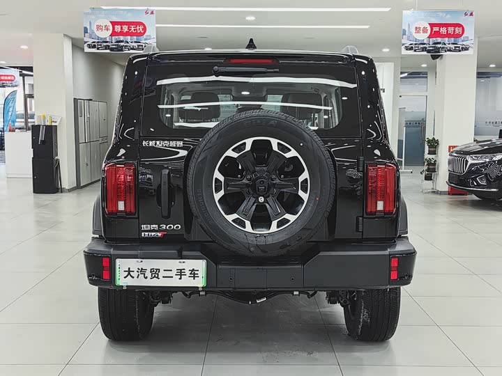 Фото 3 - Tank 300 Hybrid