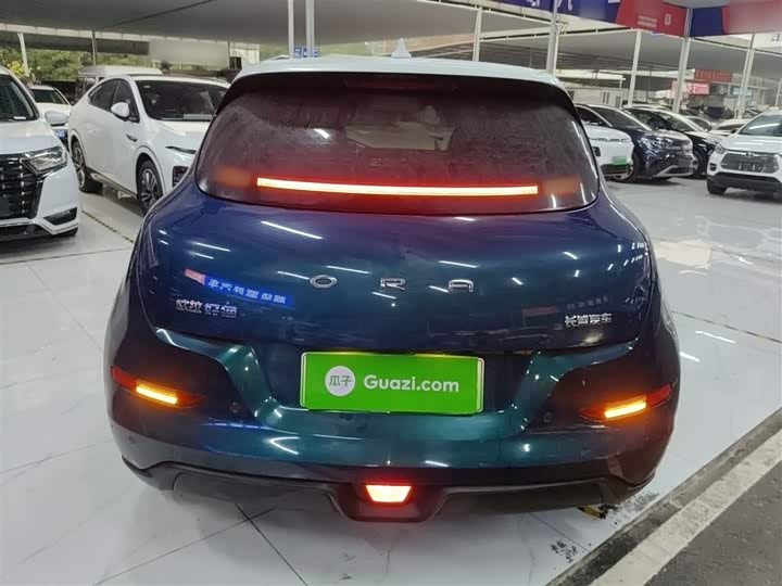 Фото 6 - Ora Good Cat (03)