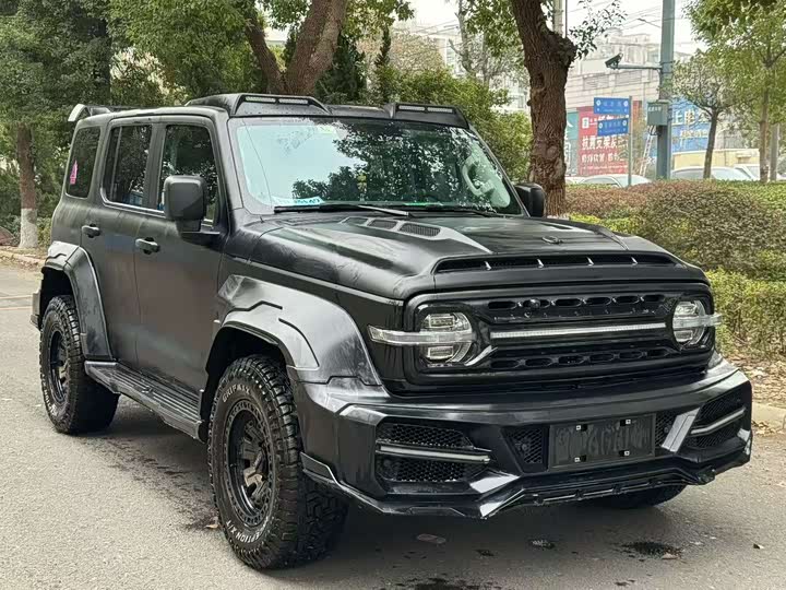 Фото 2 - Tank 300