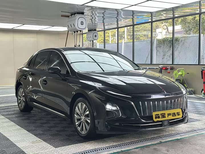 Фото 2 - Hongqi E-QM5