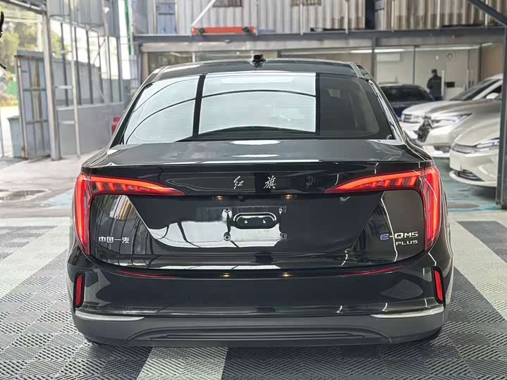 Фото 4 - Hongqi E-QM5