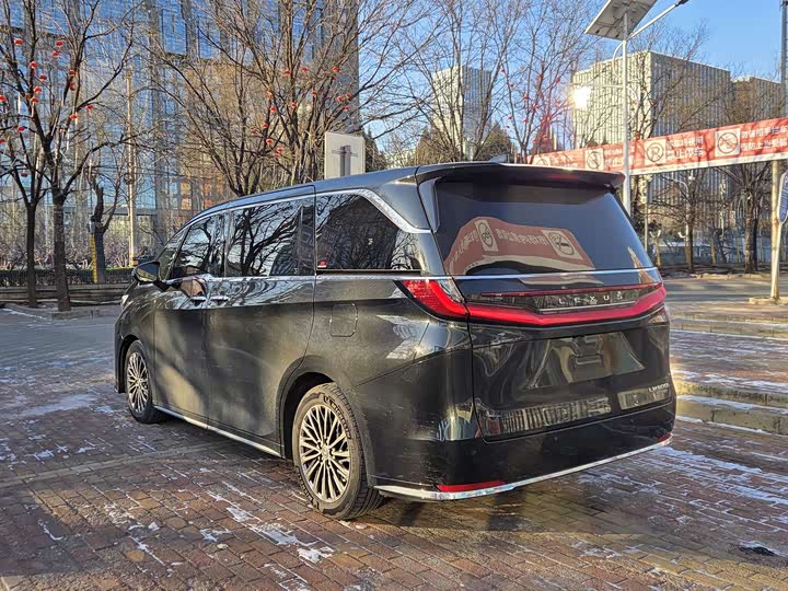 Фото 3 - Lexus LM