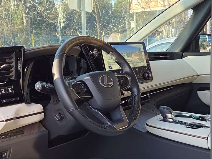 Фото 4 - Lexus LM