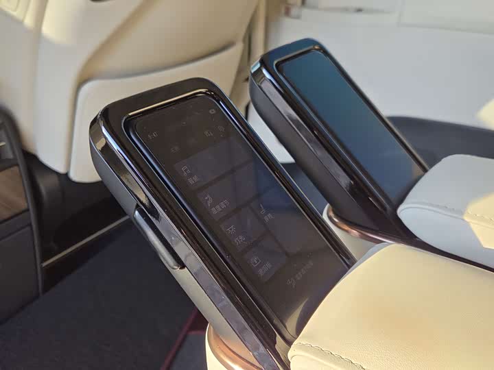 Фото 7 - Lexus LM