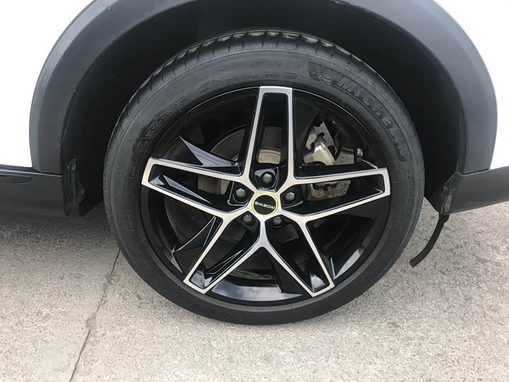 Фото 6 - Roewe RX5