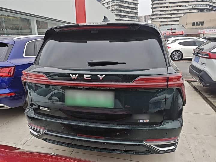 Фото 6 - Wey Lanshan