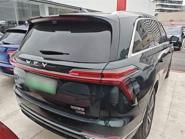 Фото 7 - Wey Lanshan