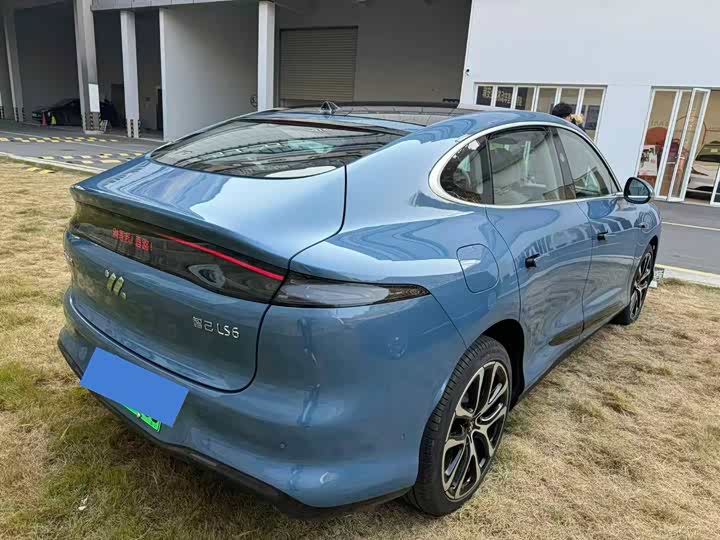 Фото 5 - IM motors LS6