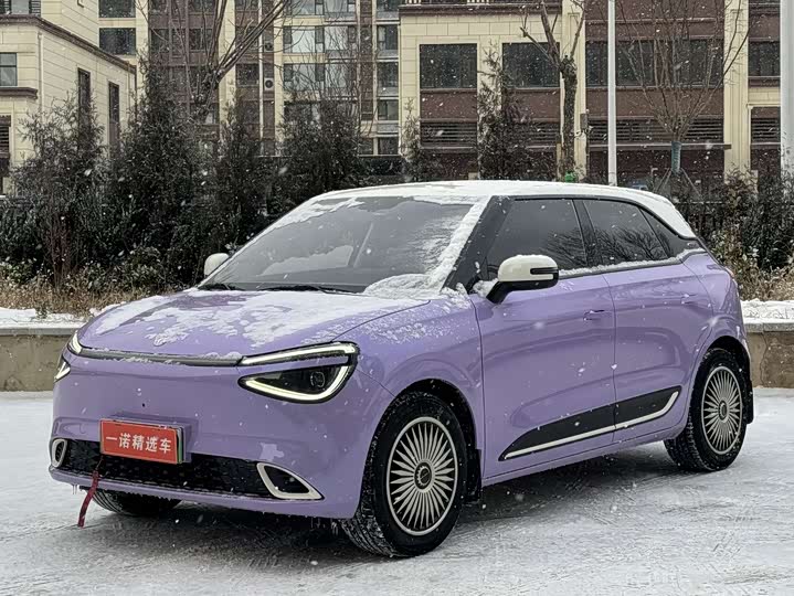 Фото 1 - Dongfeng Nammi 01