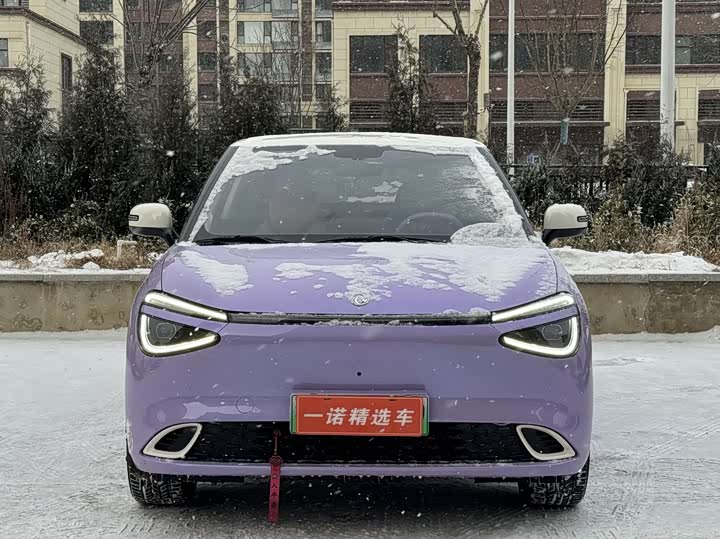 Фото 2 - Dongfeng Nammi 01