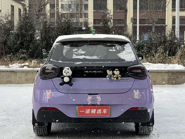 Фото 3 - Dongfeng Nammi 01