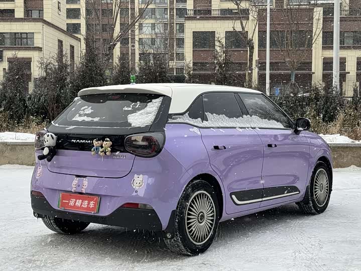 Фото 4 - Dongfeng Nammi 01