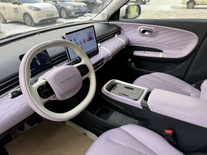 Фото 6 - Dongfeng Nammi 01