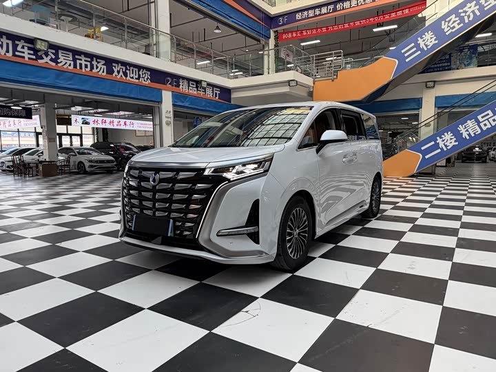 Фото 1 - Denza D9