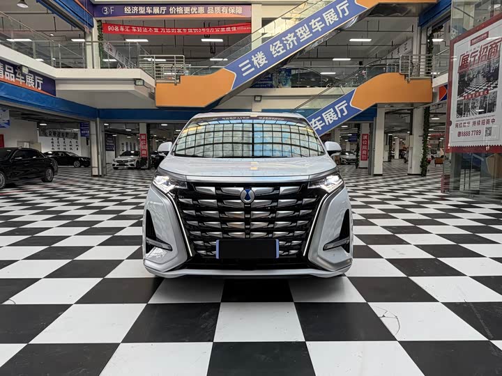 Фото 2 - Denza D9