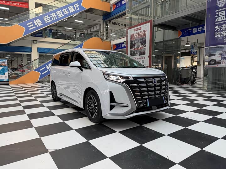 Фото 3 - Denza D9