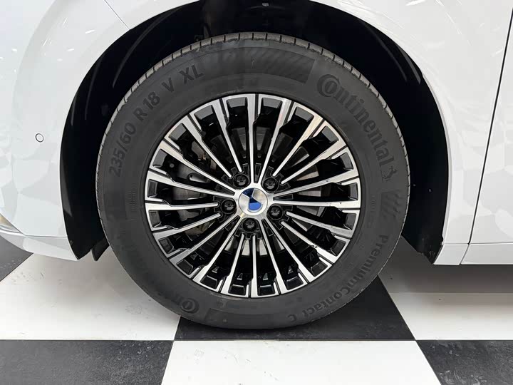 Фото 4 - Denza D9