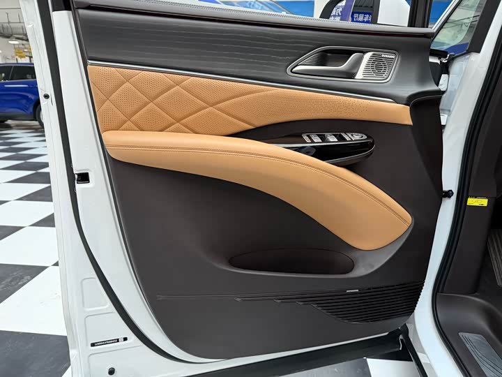 Фото 6 - Denza D9