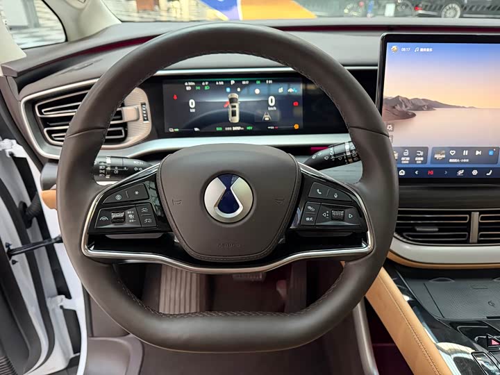 Фото 8 - Denza D9